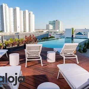 book here
